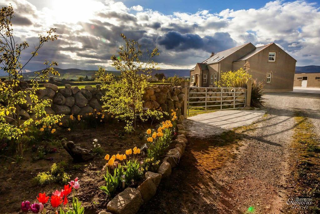 Bed and Breakfast Samona Kilkeel Zewnętrze zdjęcie